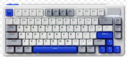 Rapoo V700DIY-75 White Grey Blue